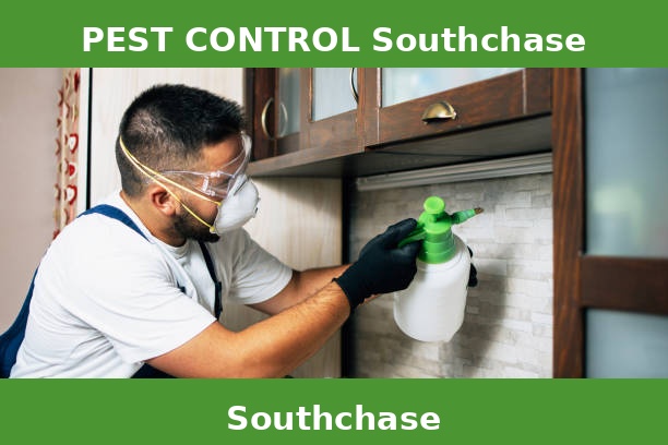 PEST CONTROL Southchase